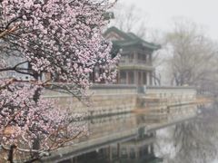 -颐和园