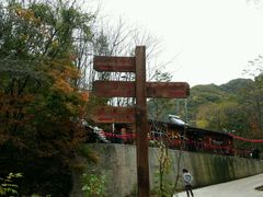 -天女山森林公园