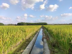 -嘉北郊野公园