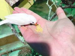 -萌宠奇缘