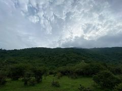 -邓记新一代糖油果子(四川煤管局供销公司职工宿舍店)