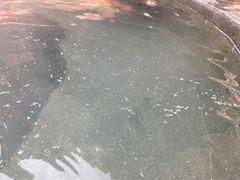 -裕龙汤泉