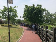 -铁山坪森林公园