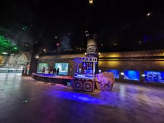 -华夏文旅海洋公园