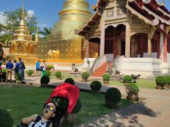 -帕辛寺