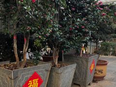 -瑞丰园庭院餐厅·白族传统家常菜