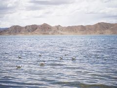 -班公湖