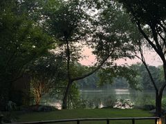 -新荣记(西溪湿地店)