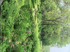 -洛阳市隋唐城遗址植物园