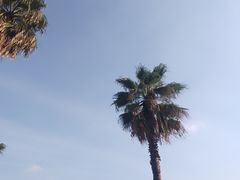 -金沙湖公园