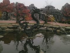 -太阳部落