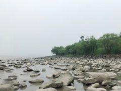 -吴淞炮台湾湿地森林公园烧烤区