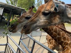 -泉州海丝野生动物世界