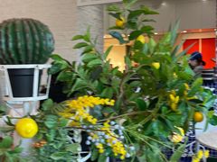 -Galleria百货店名品馆