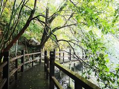 -祁门牯牛降观音堂风景区