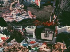 -蒲河大集