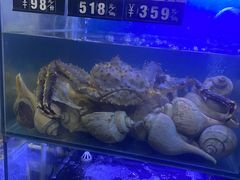 水产区-金龙·打边炉(武进路店)