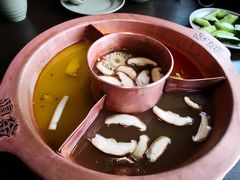 菌王奇香锅-滇釜火锅·能喝汤的火锅(车公庄店)