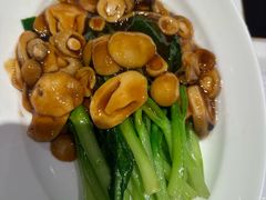 -新侨小馆(东直门北小街店)