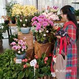 逛公园顺便买花花