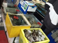 -京港生鲜(四道口店)