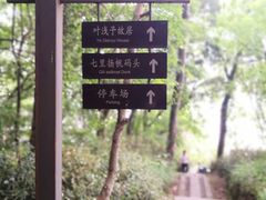 -桐君山春江扬帆码头