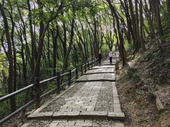 -苏州上方山国家森林公园