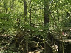 -牛背梁国家森林公园