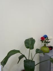 -斐尔国际皮肤管理中心