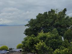 -野菌皇海景野生菌火锅(滨海大道店)