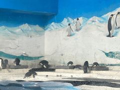 -海合安天津极地海洋公园