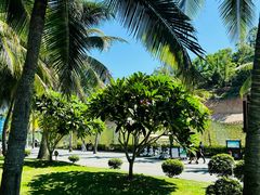 -三亚南山文化旅游区