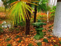 -合肥滨湖国家森林公园