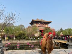 -清明上河园