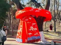 -北陵公园