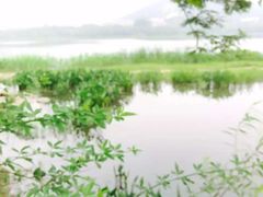 -长广溪湿地公园