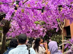 -The Grounds of Alexandria
