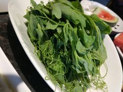 豌豆尖-海底捞火锅(连城广场店)