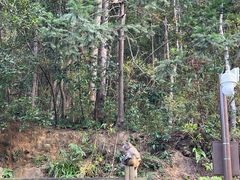 -姑婆山旅游区