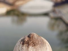 -赵州桥景区