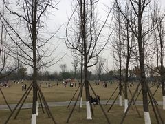 -府河摄影公园