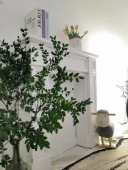 -小梨·OndaPro·专业脱毛连锁机构