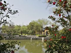-红梅公园