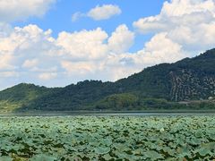 -东钱湖旅游度假区