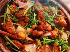-鹊玥·粤菜小馆(汇智国际商业中心店)