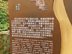 -枸杞岛