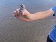 -小皓村