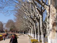 -泰州凤城河风景区-泰山公园