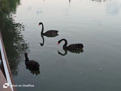 -南通濠河风景名胜区
