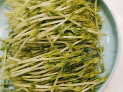 -洪氏嗨捞·猪肚鸡火锅(阳光天地店)